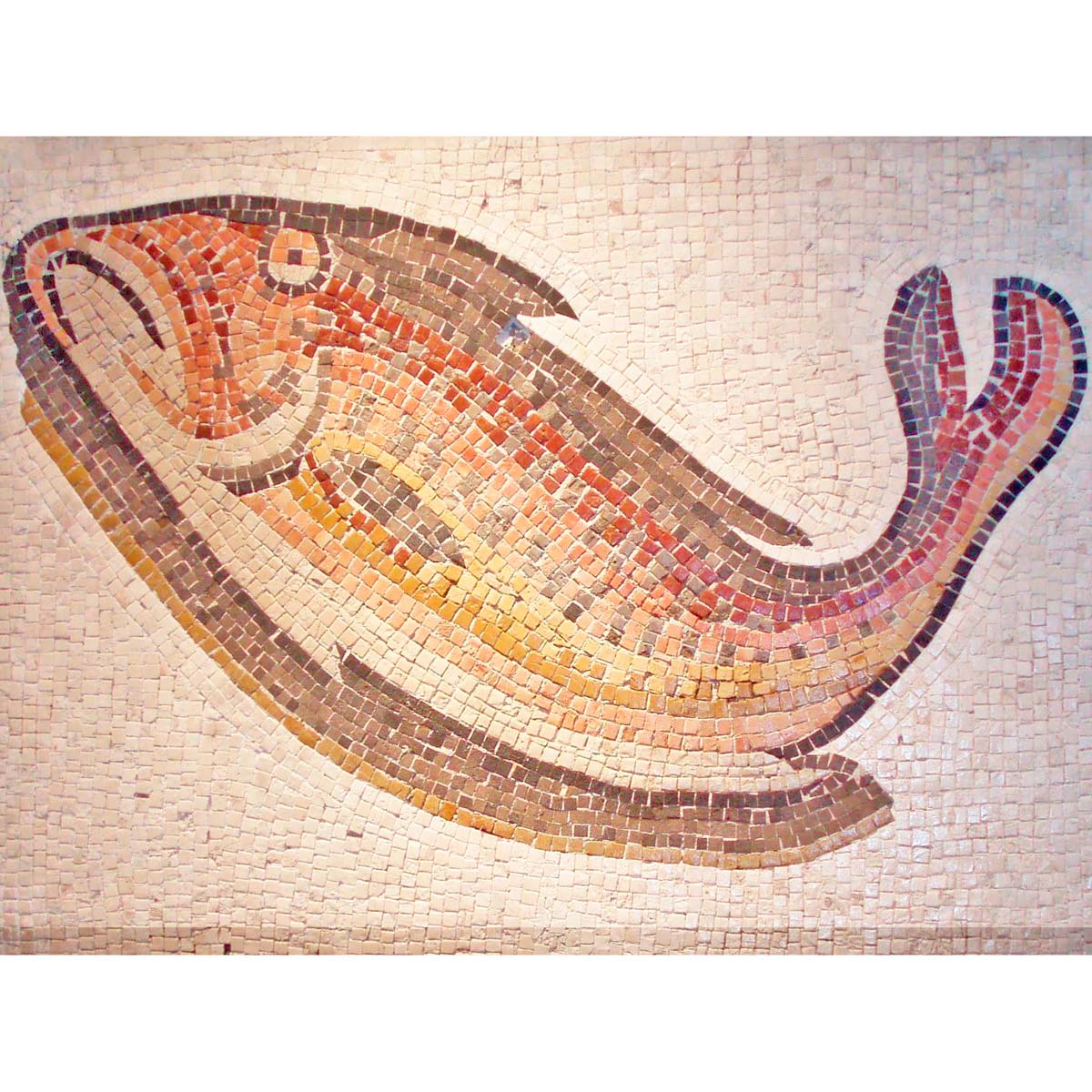 kit mosaico pez colores