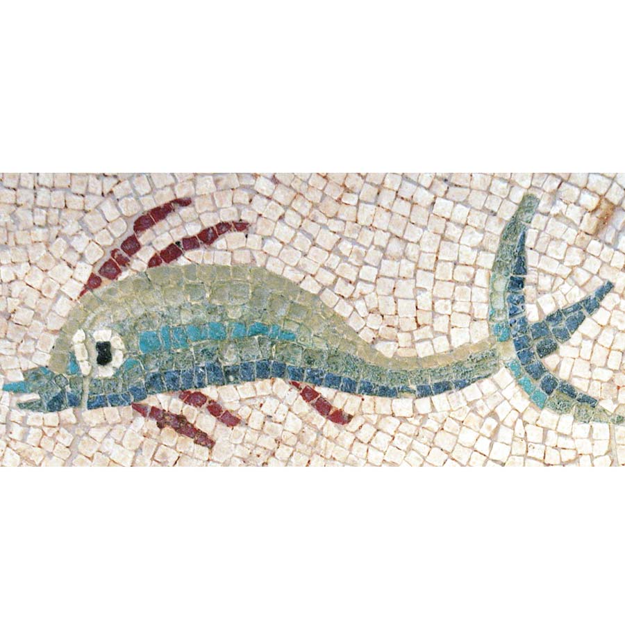 kit mosaico pez azul tarraco