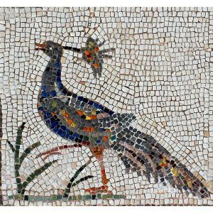 Kit mosaico Itálica pavo real. Tamaño 42×38 cm. 1600 teselas de 7,5mm.