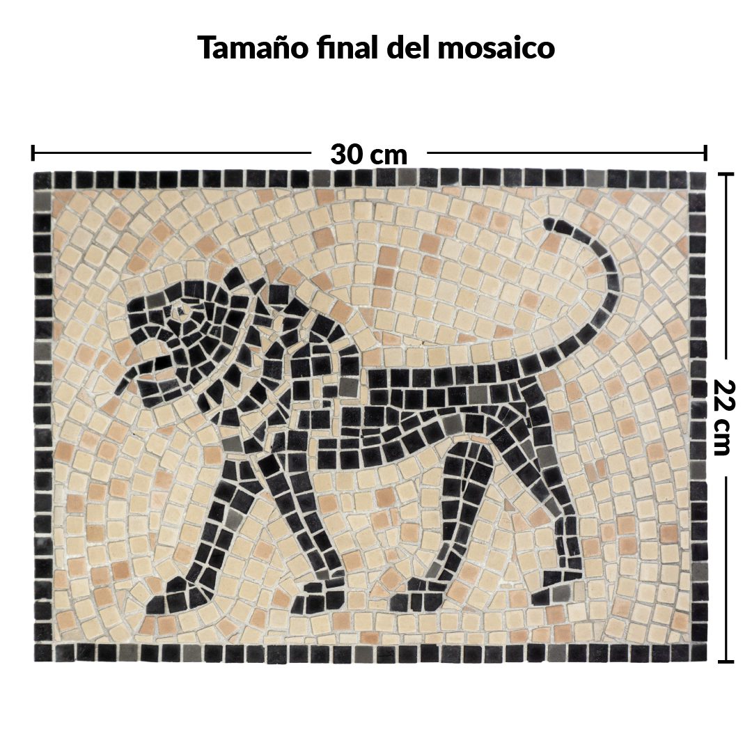 Tamaño kit mosaico león terminado