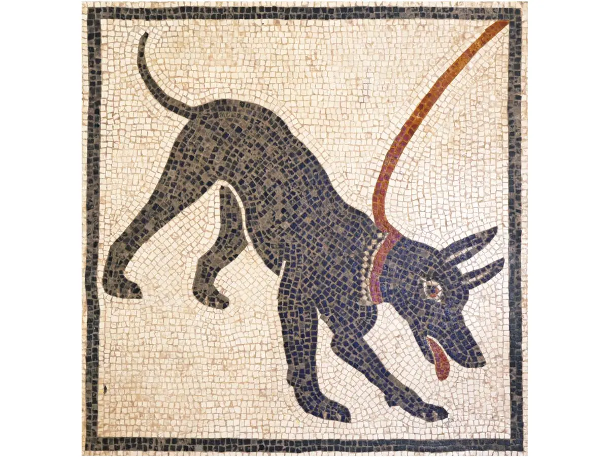 mosaico perro cave canem