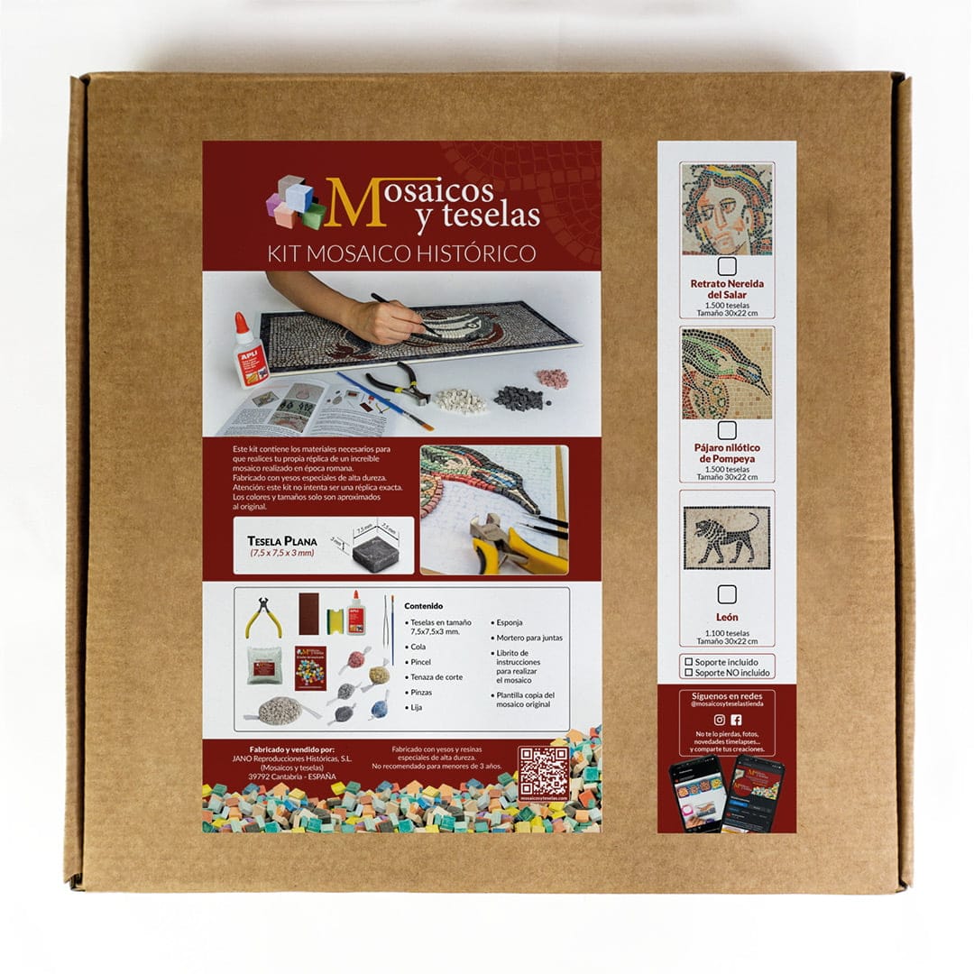 Kit De Mosaico Romano Nudo De Salomón Cuadrado – 225 Teselas De 9 Mm Con Soporte, Cola Y Plantilla