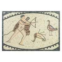 Kit Hércules y las aves del Estínfalo