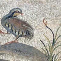 Kit mosaico Perdiz. 4200 teselas de 7,5×7,5x3mm. Tamaño: 60×40 cm.