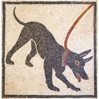 Kit mosaico Cave Canem. 5000 teselas de 5mm. Tamaño 38×38 cm.